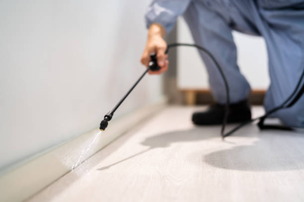 Rodent Entry Point Assessment in Baldwinsville