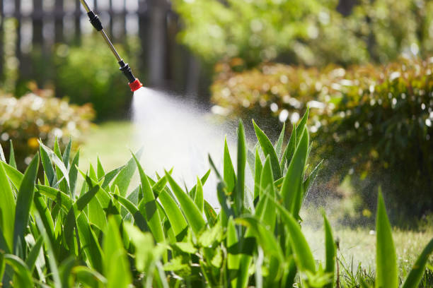 Tamper-Resistant Bait Stations for Rodents in Baldwinsville