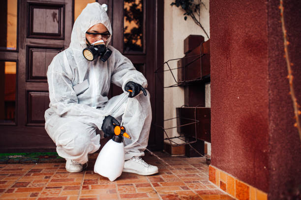 Attic and Crawl Space Rodent Treatment in Baldwinsville