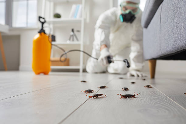 Commercial Rodent Management in Baldwinsville